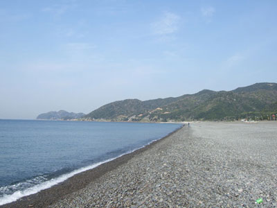 煙樹(西)