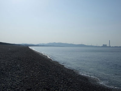 煙樹(東)