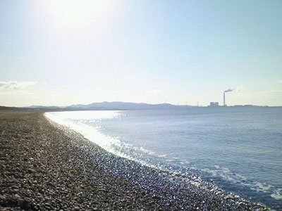 今日も良い天気，煙樹