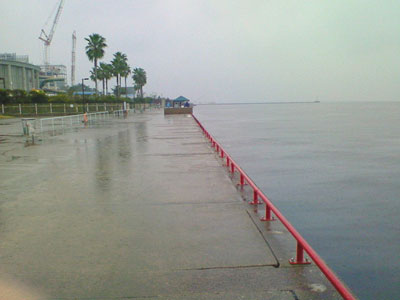 鳴尾浜東側