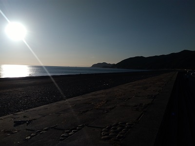 煙樹の夕日