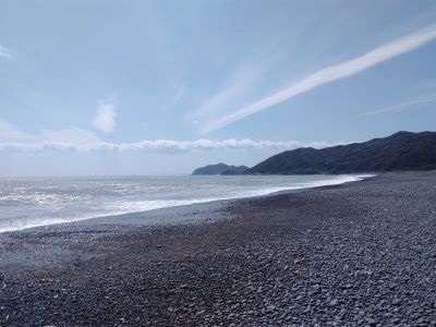 台風後の煙樹