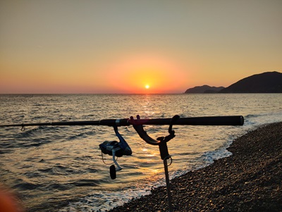 煙樹の夕日