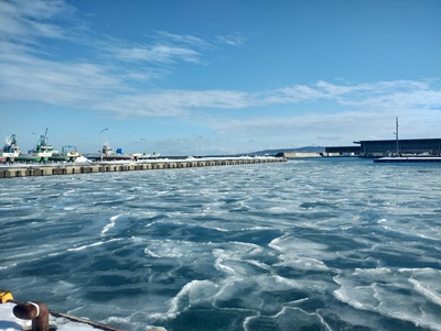 漁港が凍っています