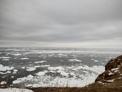流氷、能取岬から